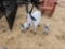 2271 - 3 - GOAT FAMILY