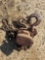 2570 - 3 TON HOIST