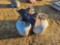 2631 - 3 PROPANE TANKS & HEATERS