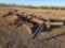 2950 - BDL SCRAP IRON