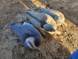 2633 - 3 DUCKS