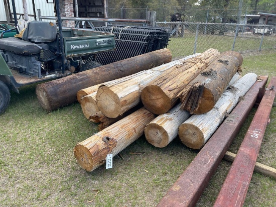 2434 - 10 WOOD POLES