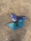 549 - ABSOLUTE - 2 - BUTTERFLIES