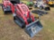 351 - ABSOLUTE - EGN EG360 MINI SKID