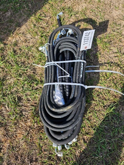 293 - ABSOLUTE - BUNDLE OF HOSES