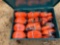 1770 - ABSOLUTE - 16 - RATCHET STRAPS & TOOL BOX