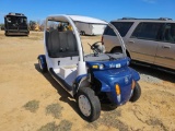 856 - GLOBAL ELECTRIC MOTOR CART