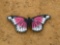 2015 - METAL BUTTERFLY