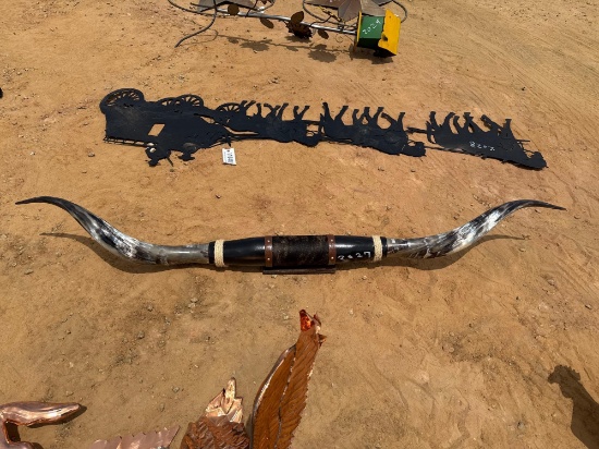 2027 - LONG HORN MOUNT