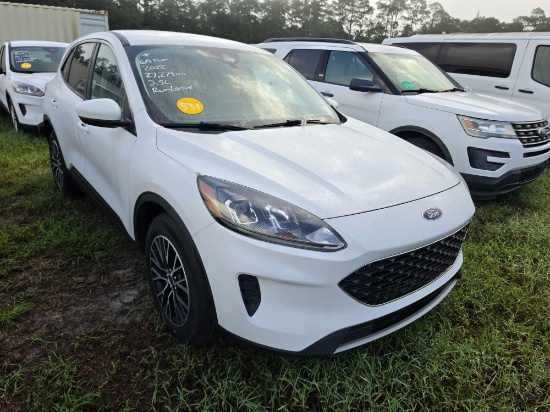 531 - Absolute - 2022 Ford Escape *