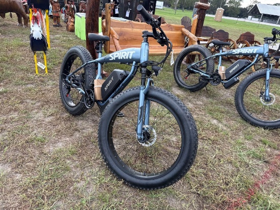 934 - Spirit Electric Bike