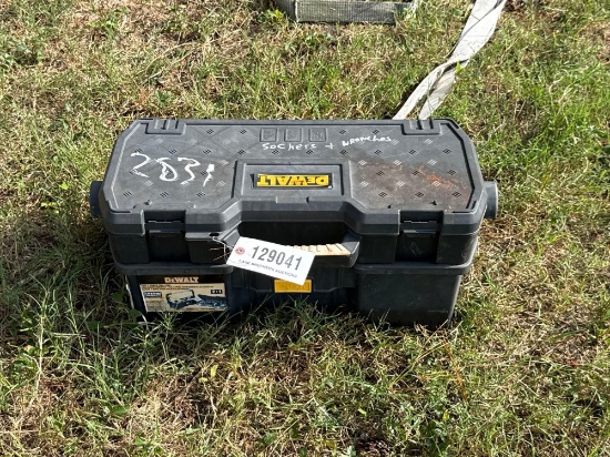 2831 - DEWALT TOOL BOX