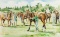 Gordon King (contemporary) POLO MATCH signed, watercolour, the image 35 by