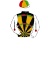 The British Horseracing Authority Sale of Racing Colours: BLACK, YELLOW, GR