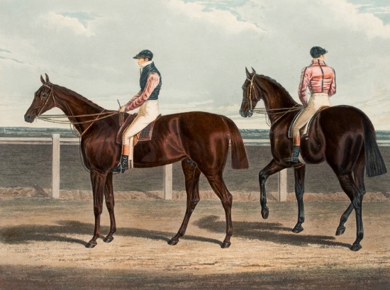 After John Frederick Herring Snr. (1795-1865) ROWTON, THE WINNER OF THE GRE