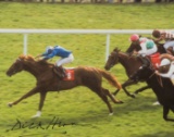 A Dick Hern signed colour photograph of Nashwan winning the 1989 2,000 Guin