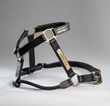 The halter worn by the 2003 Kentucky Derby and Preakness Stakes winner ''Fu