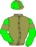The British Horseracing Authority Sale of Racing Colours: GOLD, GREEN sleev