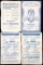 A collection of 82 Gillingham football programmes 1951 to 1959, 72 homes, 1