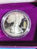 (10) 1 oz American Eagle silver proof coins