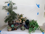 Artificial plants & planters