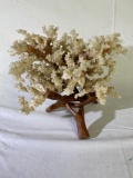 Coral with stand