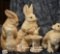 Group: Rabbits