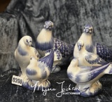 Group: Blue & White Birds