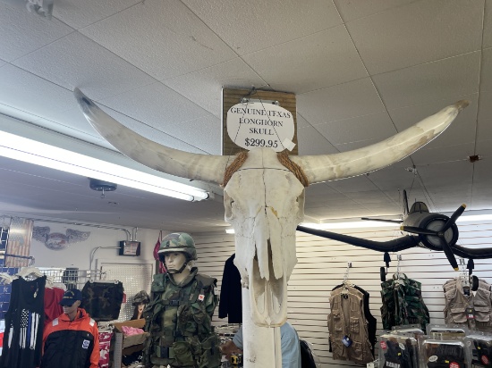 Texas Longhorn Skull, 48"W x 27"L