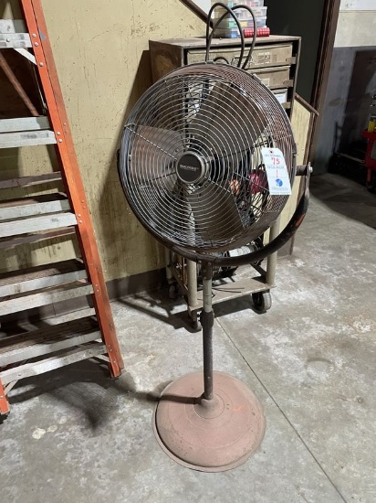 Pedestal Fan