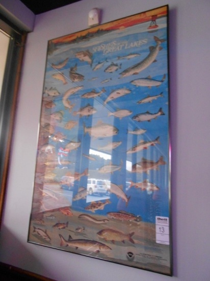 FISHES OF THE GREAT LAKES POSTER