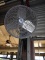 WAREHOUSE FAN