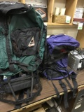 Green Coleman and Purple RED Hiking Back Packs
