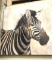 Large Zebra Art 36
