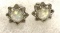 White Fire Opal Star Stud Earrings