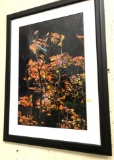 Framed Leaf Photo 30