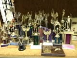 Lot of Trophies