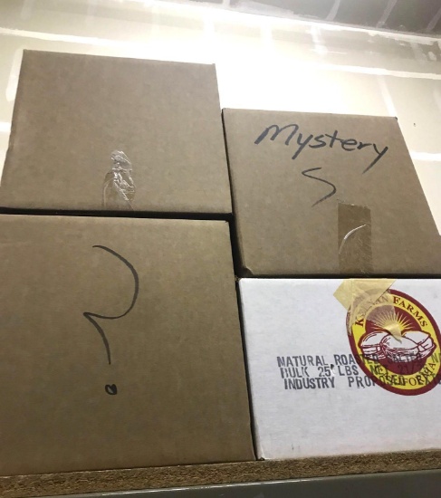 4 Mystery Boxes- Great for Yard Sales