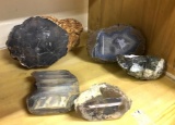 5 Collectible Rocks- Thunder eggs and Petrified Wood