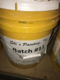 2- 5 Gallon Buckets of Paint