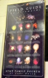 Framed Field Guide to Fireworks 39