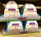24 Brach's Tiny Jelly Bean Bird eggs- 50 packages