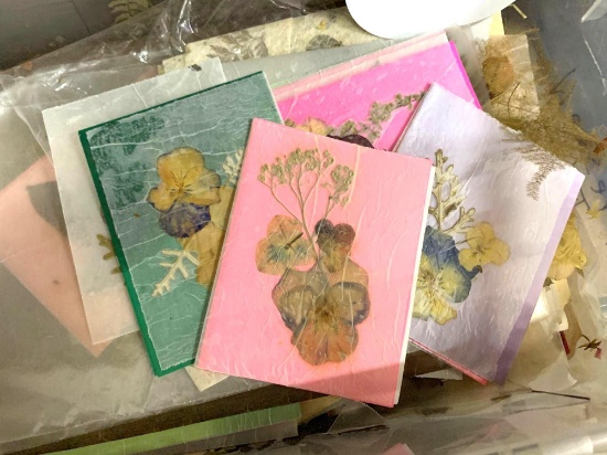 Large Lot of Pressed Flowers (Dried Flowers)