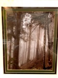 Framed Lamarre Wild Life Photo 15