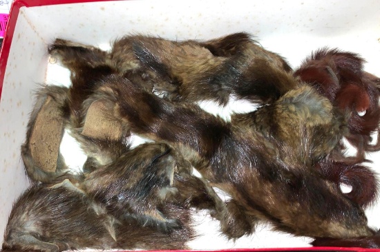 Lot of Fur Pieces