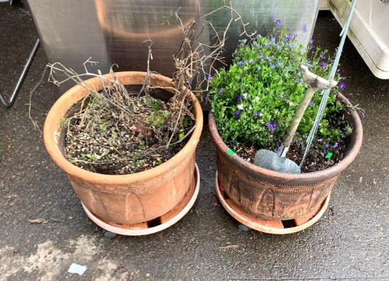 2 Med Size Ceramic Planters on Wheels