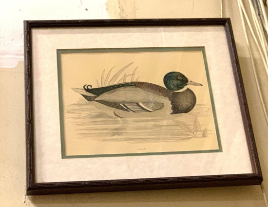 Framed Duck Picture 12" x 14"