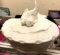 Koi Fish Dish with Lid (Made in Italy for Nordstroms)