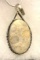 Fossil Coral 2.6