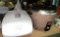 National Rice and George Foreman Grill